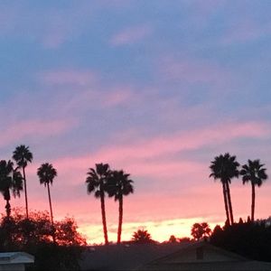 Meet your Posher, Olga yvonne